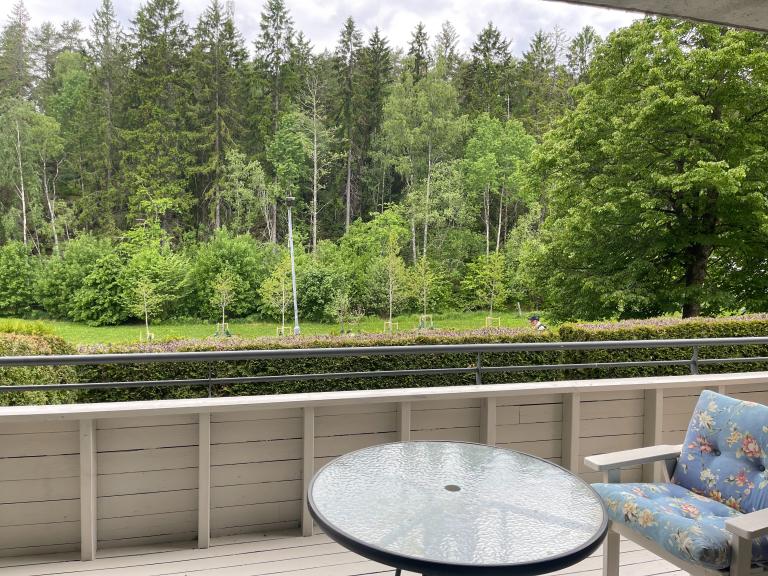 Utsikt fra veranda.